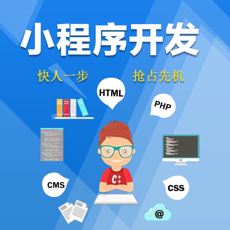 小程序开发:构建轻量化的商业桥梁